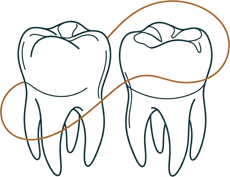 Line illustration of a length of dental floss looping between two teeth